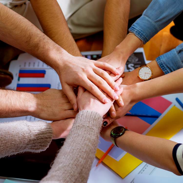 Talleres Empoderadores: Team Building poderoso para el desarrollo de tus equipos de trabajo